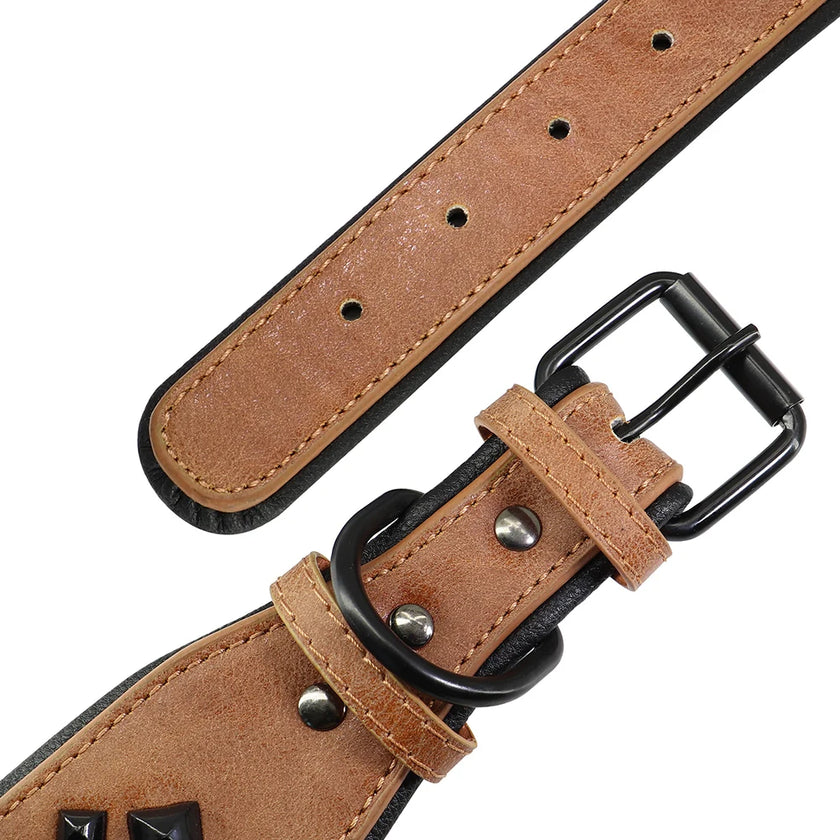 Hundhalsband för stor hund