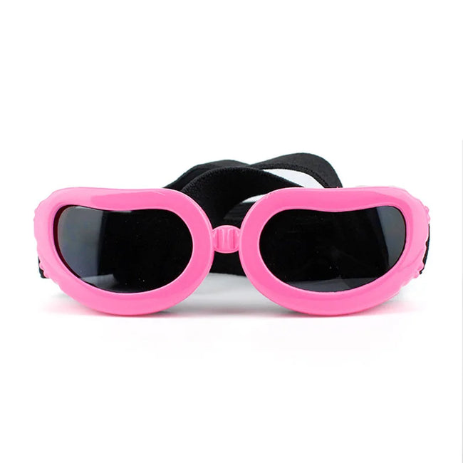 Goggles för hund