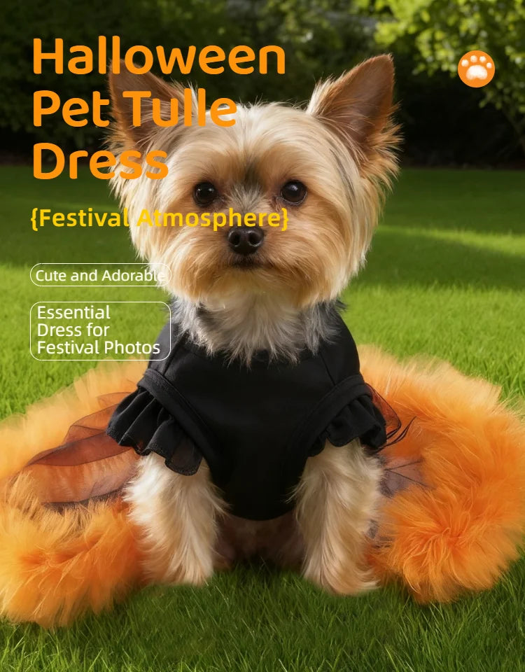 Halloween klänning för hund