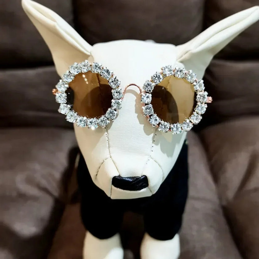 Solglasögon med strass för hund