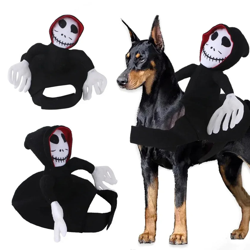 Halloween utklädnad för hund