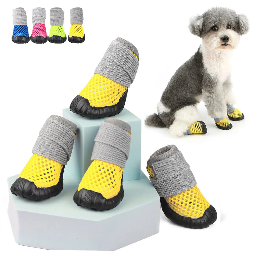 Hundskor för liten hund