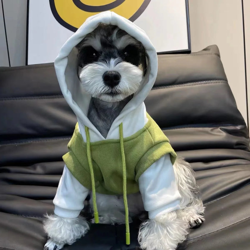 Sweatshirt med luva för hund