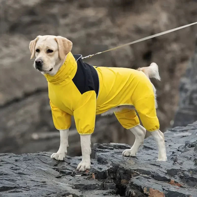 Vattentät overall för hund