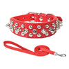 Halsband med spikes