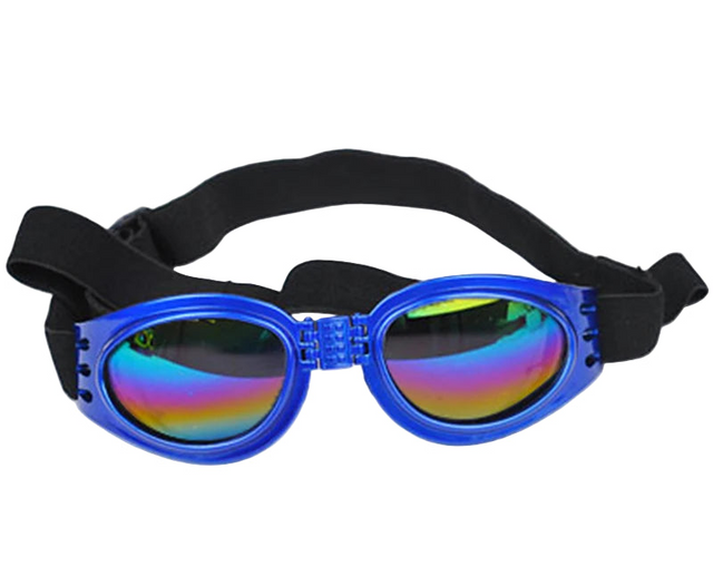Goggles för hund