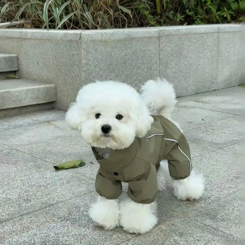 Vattentät overall för liten hund