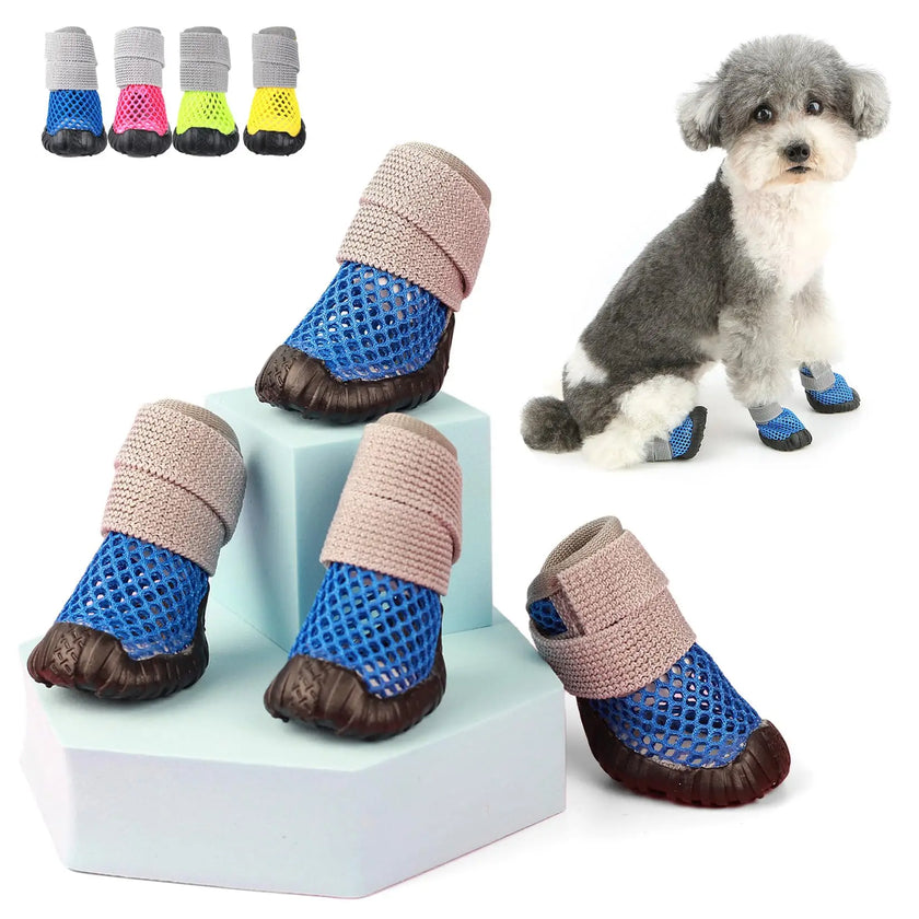 Hundskor för liten hund