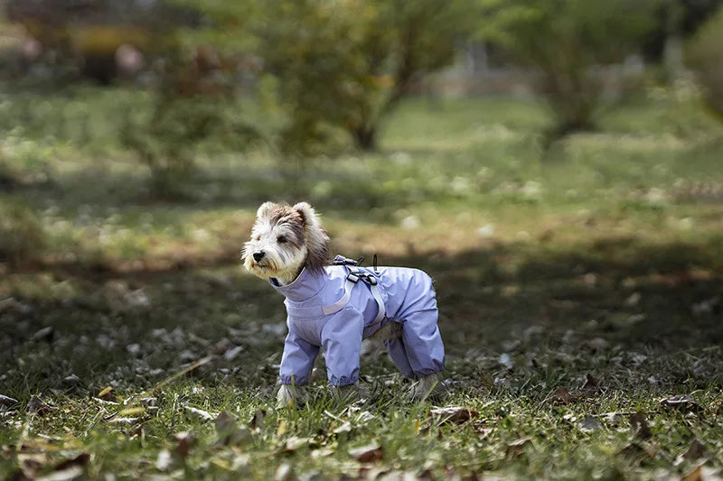 Regnoverall med sele för hund