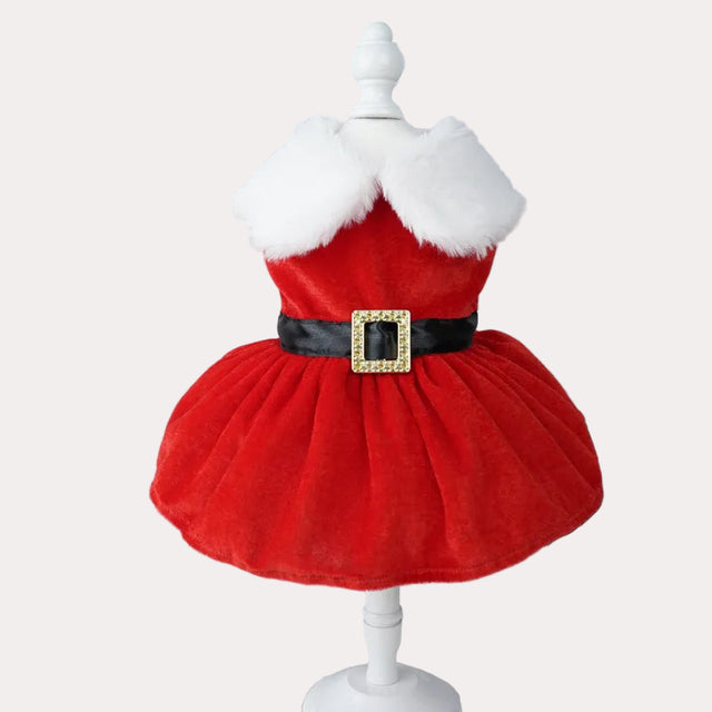 Julklänning för hund