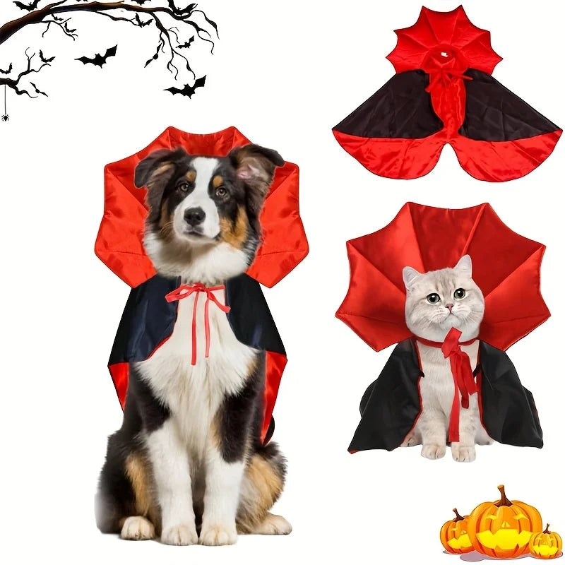 Halloween cape för hund