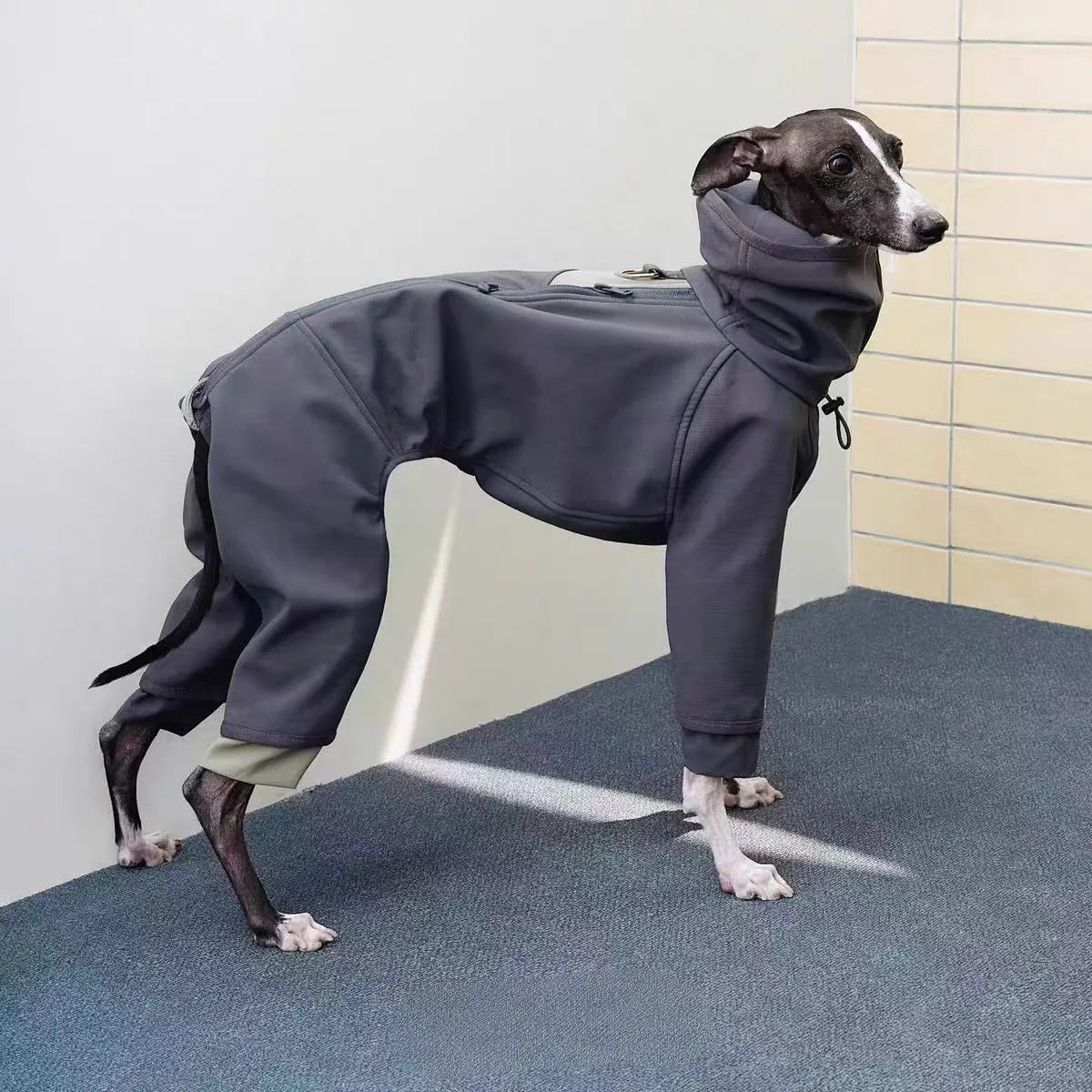 Hundoverall med hög krage