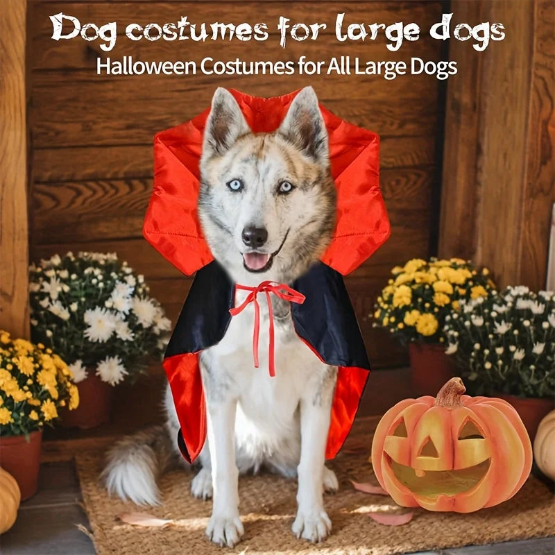 Halloween cape för hund