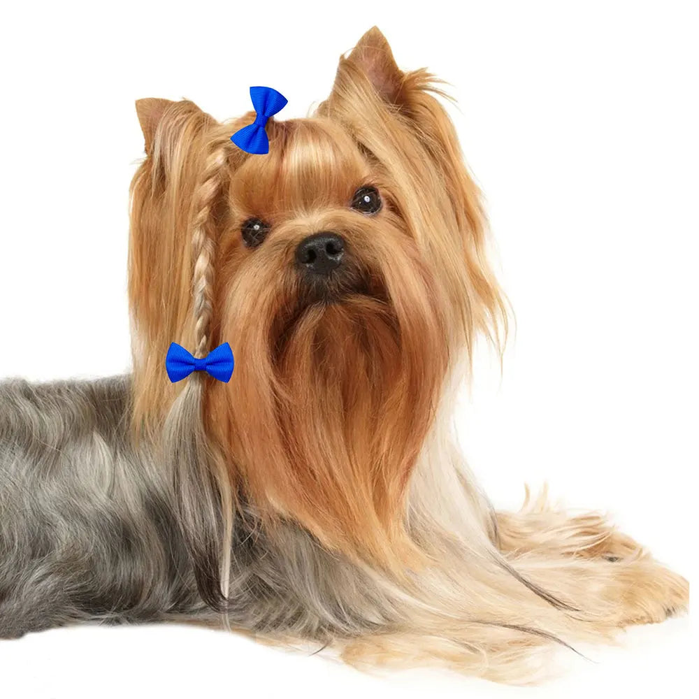 Hårrosett 10/20st för hund
