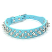 Halsband med spikes