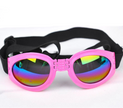Goggles för hund