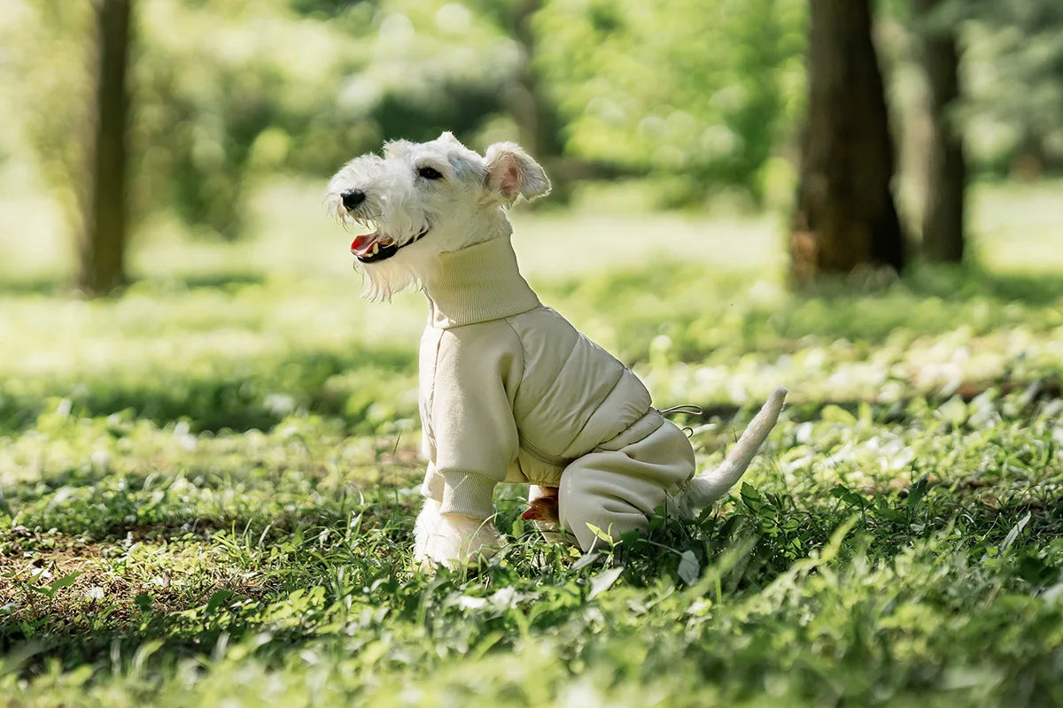 Tracksuit onesie för hund