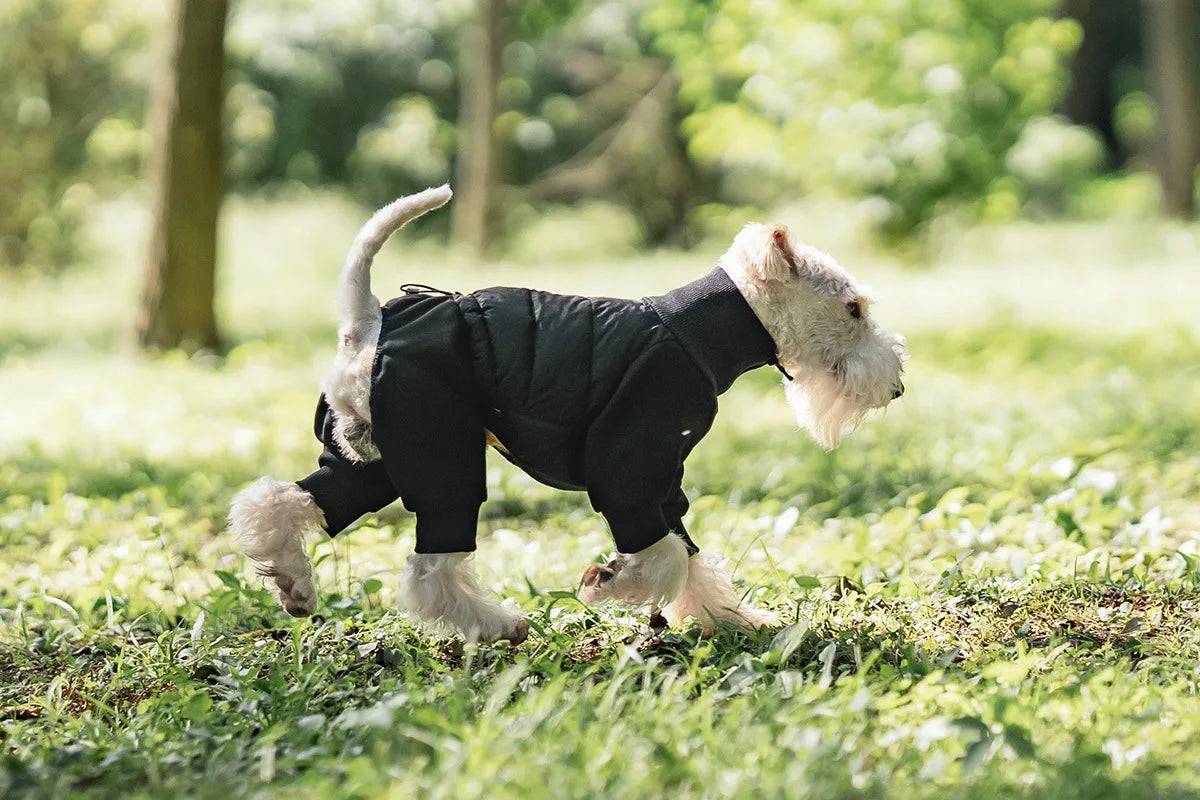 Tracksuit onesie för hund