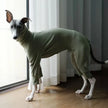 Overall Onesie med hög krage för hund