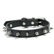Halsband med spikes