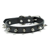 Halsband med spikes