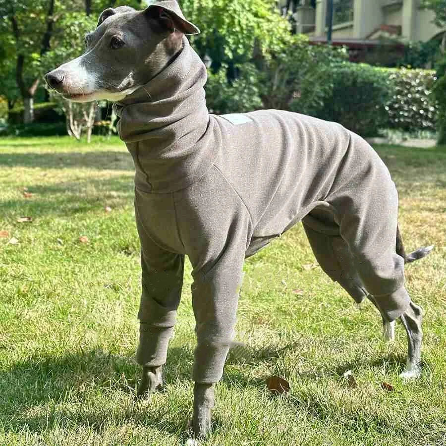 Overall Onesie med hög krage för hund
