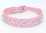 Hundhalsband med strass