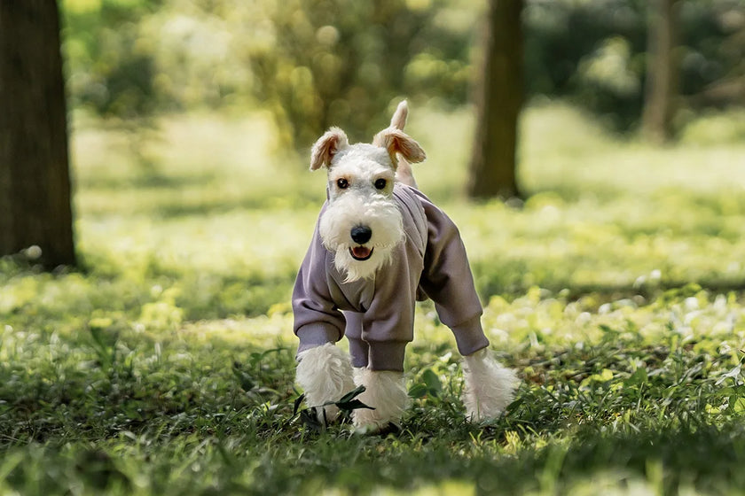 Tracksuit onesie för hund
