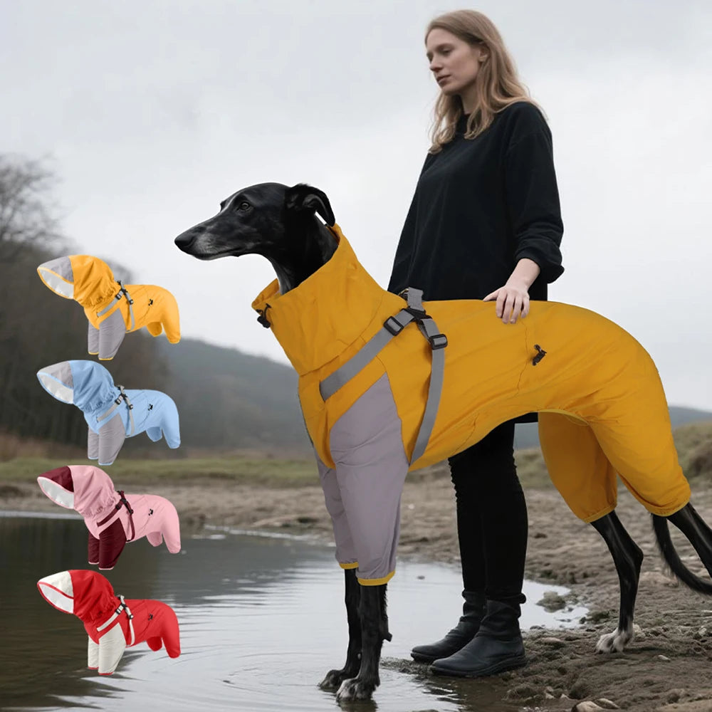 Vattentät overall med sele för hund