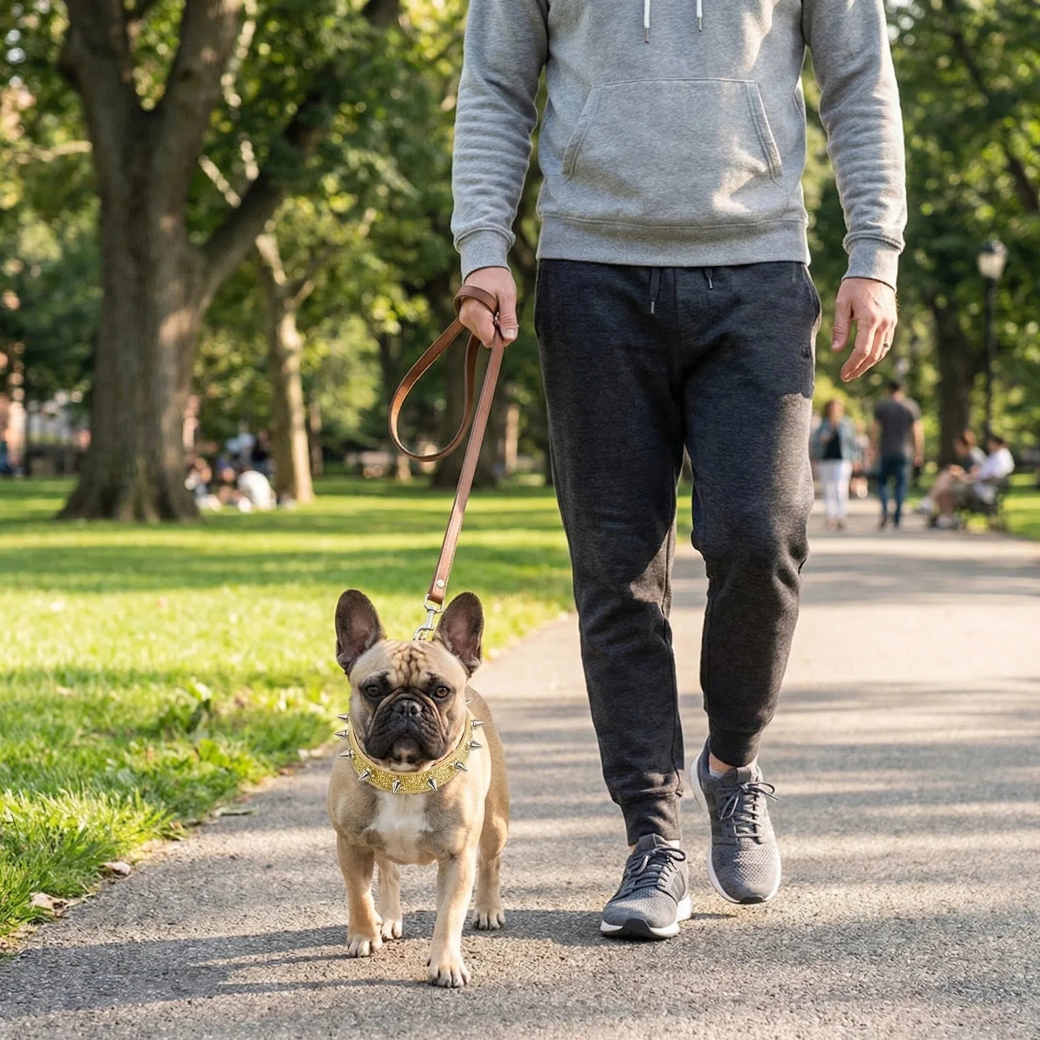 Glittrigt hundhalsband med nitar