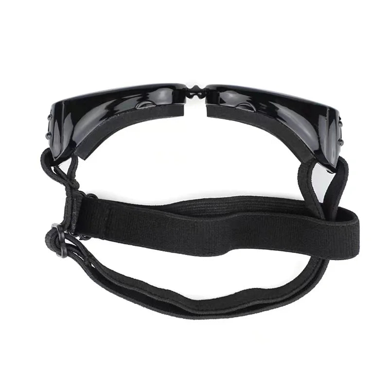Goggles för hund