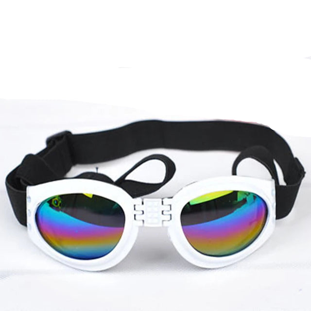 Goggles för hund