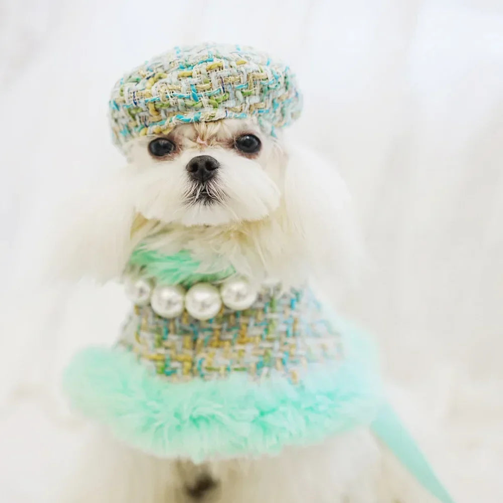 Cape för liten hund