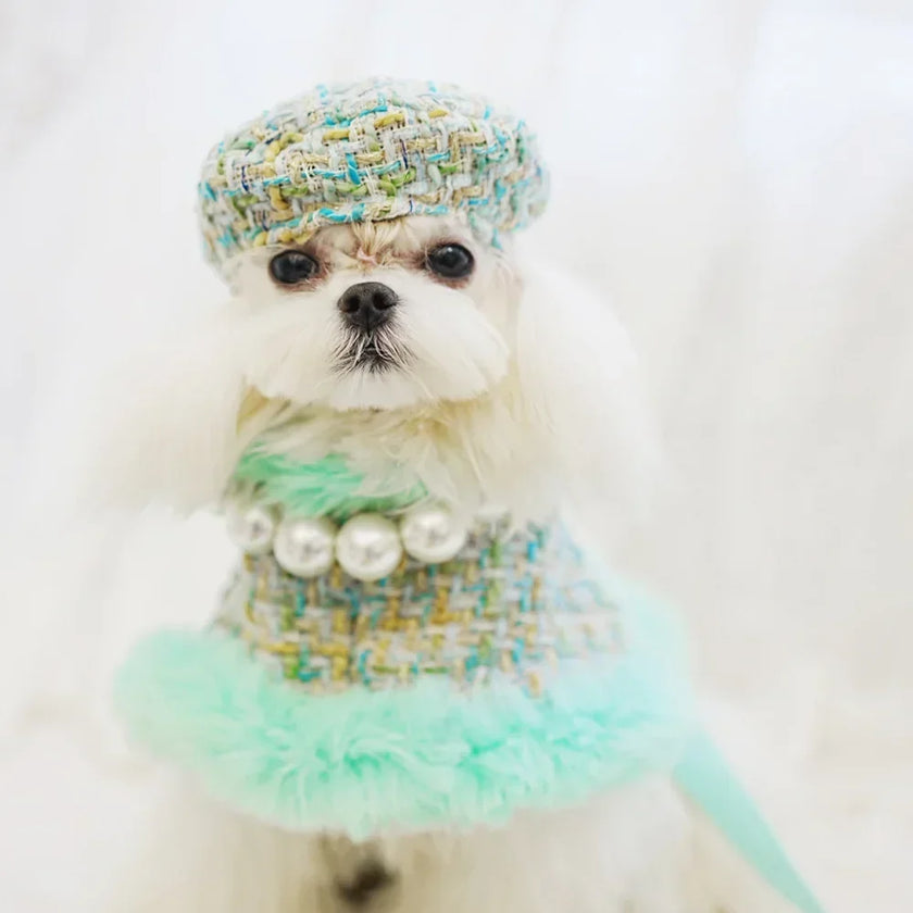 Cape för liten hund