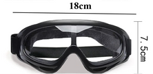 Goggles för hund