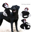 Halloween utklädnad för hund