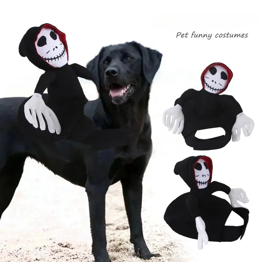 Halloween utklädnad för hund
