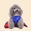 Super woman dräkt för hund