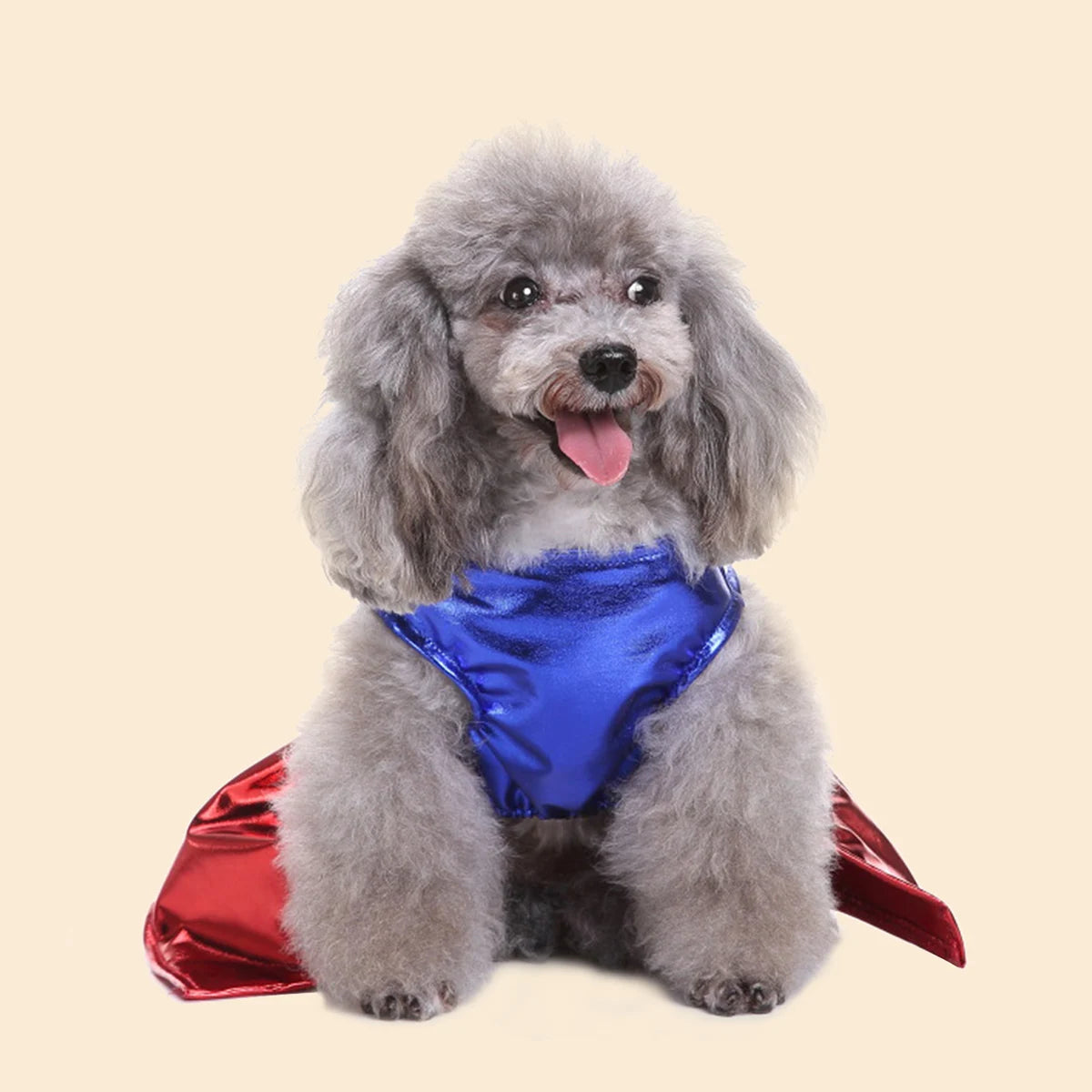 Super woman dräkt för hund