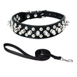 Halsband med spikes