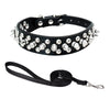 Halsband med spikes