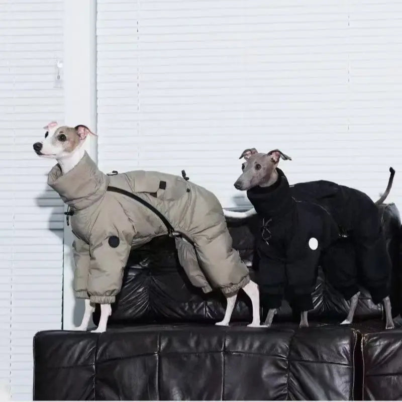 Vinteroverall för hund