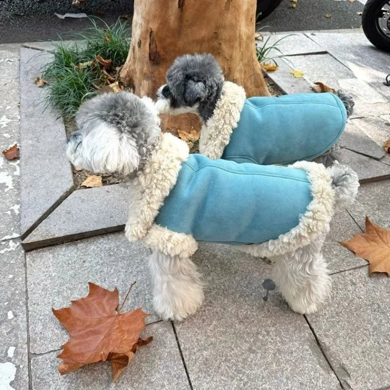 Hundjacka med pälskrage