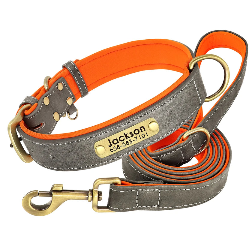 Hundhalsband & koppel