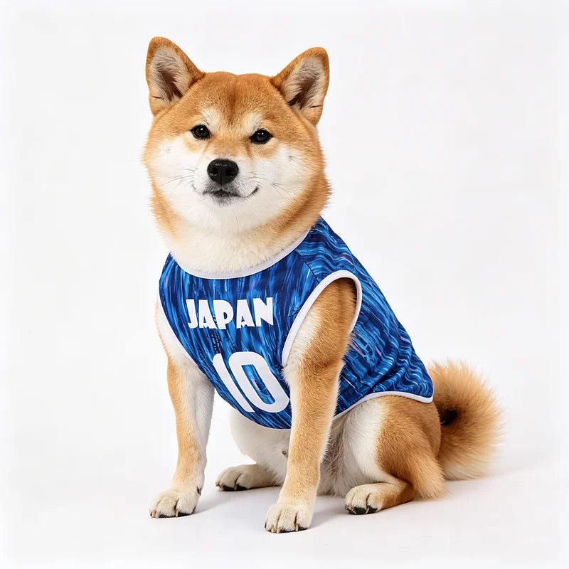 Baskettröja för hund