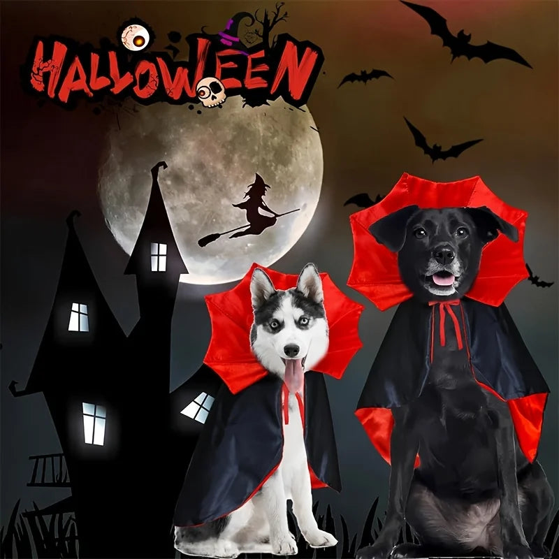 Halloween cape för hund