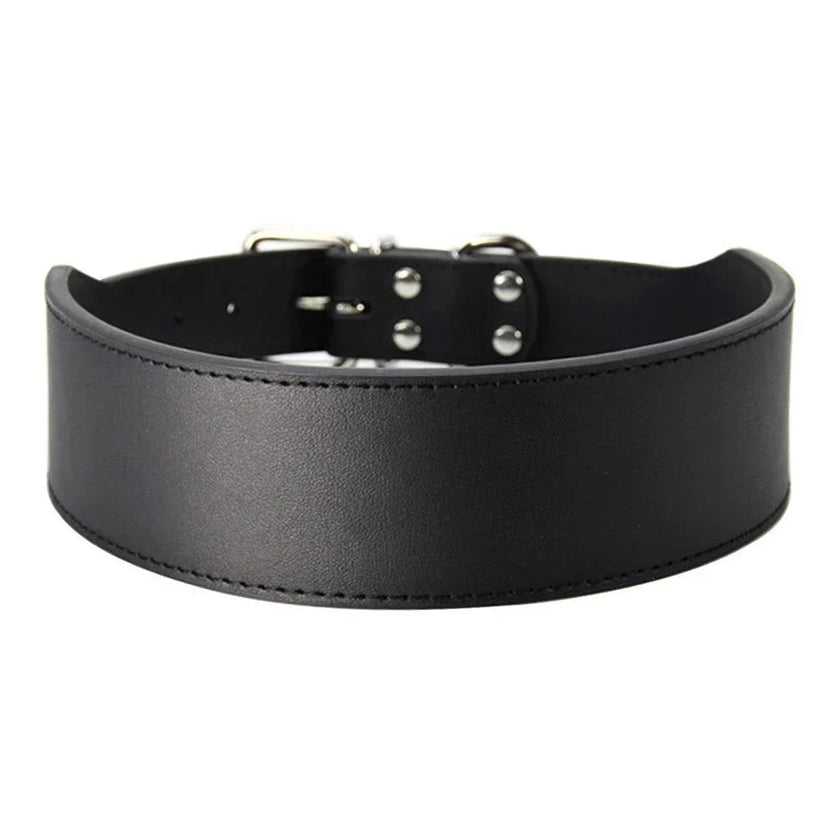 Hundhalsband för stor hund