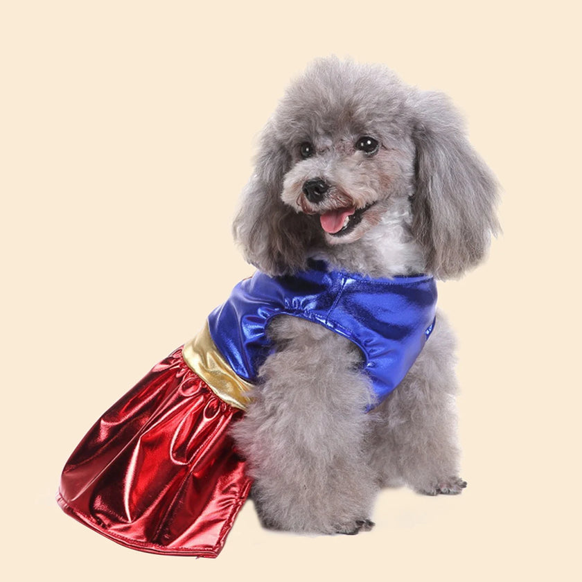 Super woman dräkt för hund