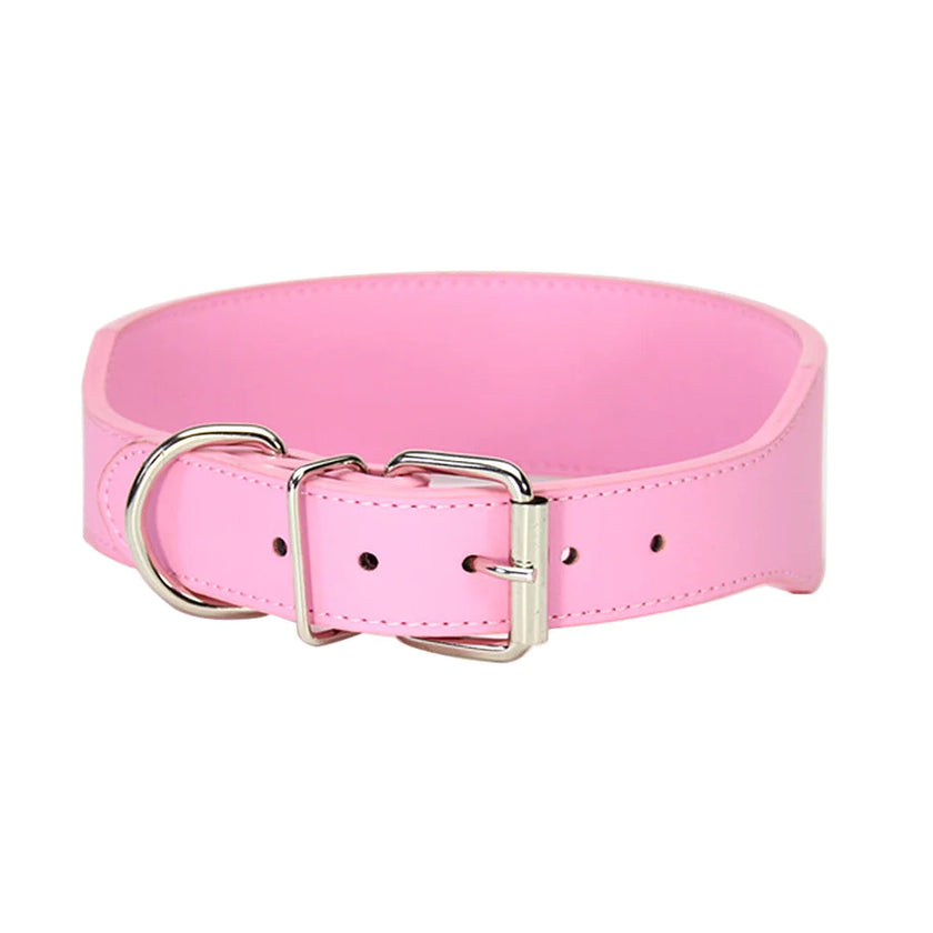 Hundhalsband för stor hund