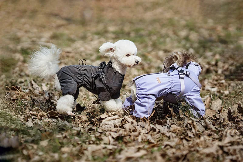 Regnoverall med sele för hund
